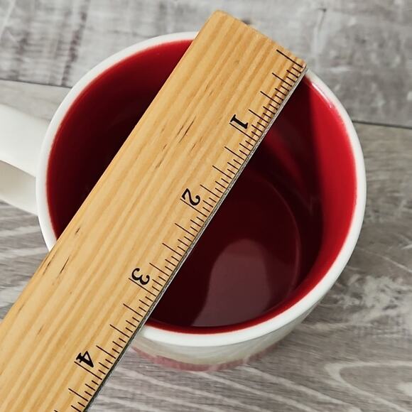 Starbucks DALLAS TX Texas Collector Series 16 oz City Coffee Tea Mug Cup 2009 - Picture 10 of 11